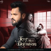 Tere Mere Darmiyan artwork