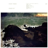 Fleet Foxes - If You Need to, Keep Time on Me