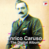 The Digital Album artwork