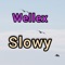 Slowy - Wellex lyrics