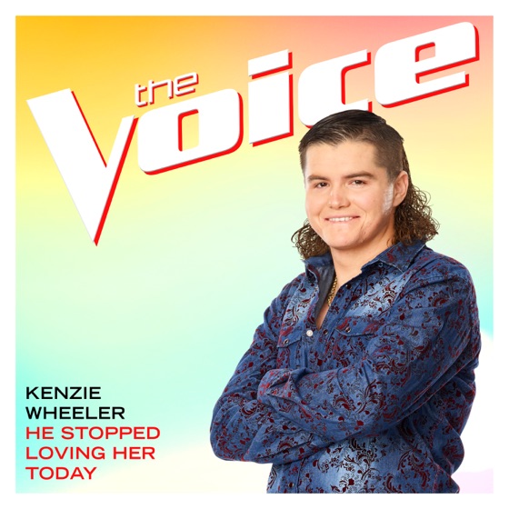 Cover artwork for He Stopped Loving Her Today