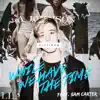 While We Have the Time (feat. Sam Carter) - Single album lyrics, reviews, download