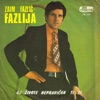 Zaim Fazlic - Azemina