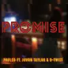 Promise (feat. Juvon Taylor & D-Twist) - Single album lyrics, reviews, download