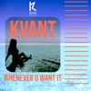 Whenever U Want It - Single