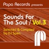 Papa Records Presents Sounds for the Soul, Vol. 3 (Selected & Compiled by DJ Spen)