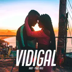 Vidigal - Single by DoisT & Rvl$ album reviews, ratings, credits