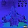 Space Cowboy - Single album lyrics, reviews, download