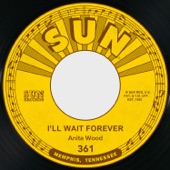 I'll Wait Forever artwork