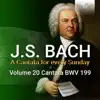 Stream & download J.S. Bach: Mein Herze schwimmt im Blut, BWV 199