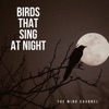 Birds That Sing at Night - EP