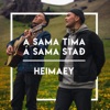 Á Sama Tíma, Á Sama Stað / Heimaey - Single