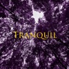 Tranquil - EP