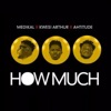 How Much (feat. Ahtitude & Kwesi Arthur) - Single