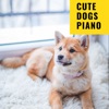 Music For Cats - Music For Dogs