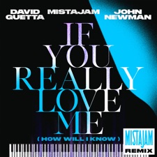 If You Really Love Me (How Will I Know) (MistaJam Remix) artwork