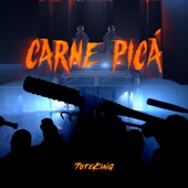 Carne Picá artwork