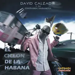 El Ciclon de la Habana by Charanga Habanera & David Calzado album reviews, ratings, credits