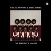 Bacao Rhythm & Steel Band - 1 Thing