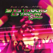 Si Es Trucho Es Trucho (Remix) artwork