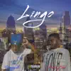 Lingo (feat. Bandobrad) [Radio Edit] [Radio Edit] - Single album lyrics, reviews, download