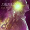 Dreams (Disco Deluxe Remix) [Club Mix] - Disco Pirates lyrics
