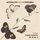 String Quartet in D Major, Hob.III:34, Op.20 No.4: 3. Menuet alla zingarese artwork