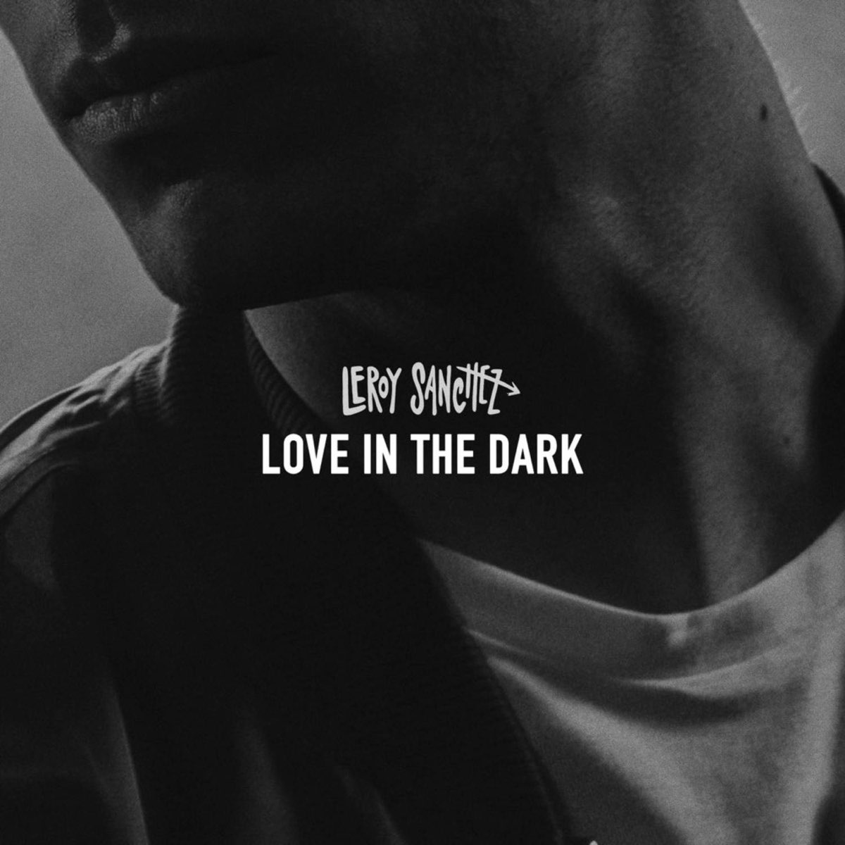 Love in the dark. In the Dark обложка песня. In the Silence Leroy Sánchez. I can Love you in the Dark.