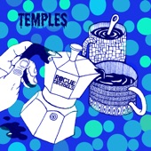 Temples (feat. Fka Mash) artwork