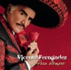 Estos Celos by Vicente Fernández iTunes Track 1