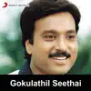 Gokulathu Kanna song lyrics