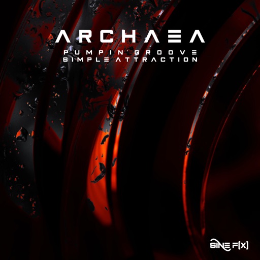 Pumpin' Groove / Simple Attraction - Single by Archaea