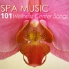 Spa Music - Ultimate 101 Wellness Center Songs, Deep Sleep Inducing, Relaxation Sounds for Mindfulness & Brain Stimulation