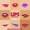 Lips Deep House, Vol. 2 (The Lips Records Deep House Selection)