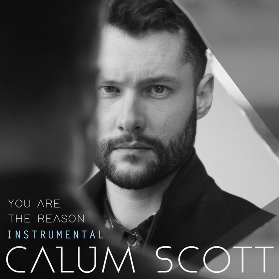 Cover artwork for You Are The Reason