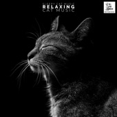 Sleepy Cat Music - Relaxing Cat Music artwork