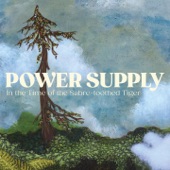 Power Supply - Swimming in a Bathful of Ghosts