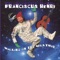 Ducks Like Rain - Franciscus Henri lyrics