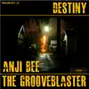 Destiny (feat. Anji Bee) - Single album lyrics, reviews, download