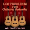 Los Tecolines Y Sus Guitarras Bohemias