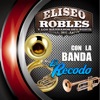 Con La Banda El Recodo