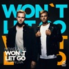 Won't Let Go (feat. Jan Liva) - Single