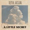 A Little Secret - Demir Arslan lyrics