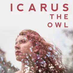 Rearm Circuits by Icarus The Owl album reviews, ratings, credits