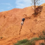 caroline - Skydiving onto the library roof