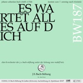 Bachkantate, BWV 187 - Es wartet alles auf dich (Live) artwork