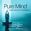 Pure Mind: Water Element Meditation album lyrics, reviews, download