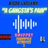 A Gangsta's Pain (Audio Snip) [Freestyle Olympics 2] - Single album lyrics, reviews, download