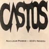 Castos - W Sieci