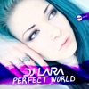Perfect World - Single